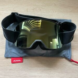 Alpina Black Ski Goggles